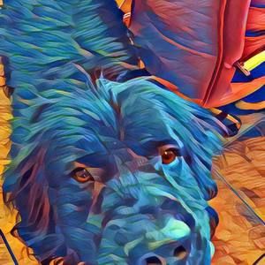 Meet your Posher, Katy